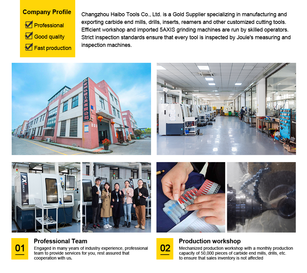 company introduction